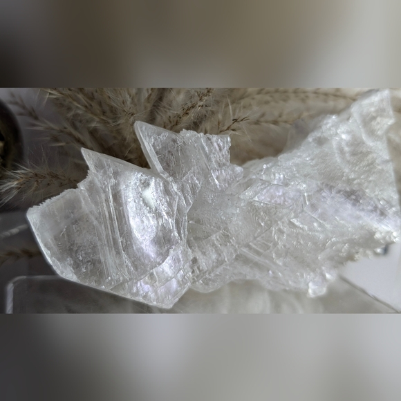 Rare Fishtail Selenite Crystal Slab - Picture 11 of 15